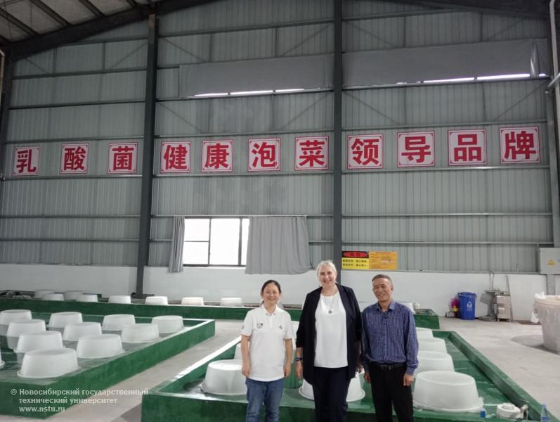 Производство ферментированных овощей