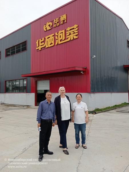 Производство ферментированных овощей