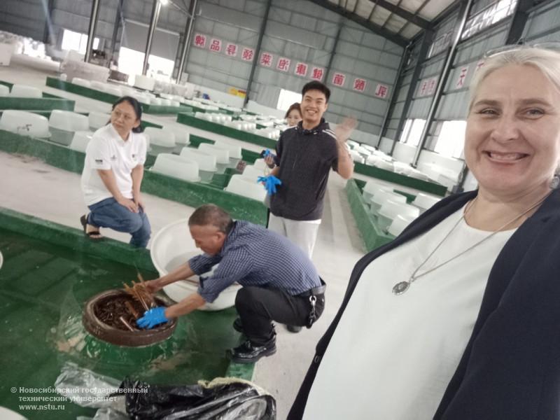 Производство ферментированных овощей