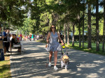 Защита ВКР по специальности 