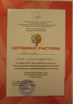 Сертификат Е. А. Масоловой